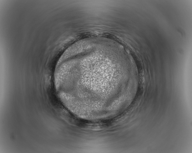 X0000112950615200909071117