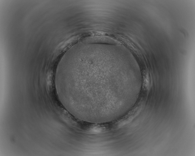 X0000112950616200909071117