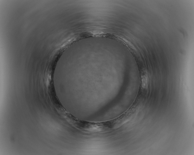 X0000112950618200909071117