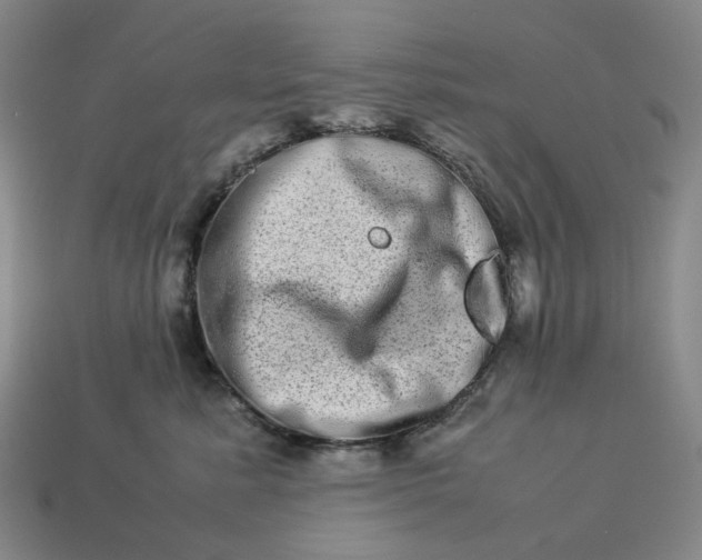 X0000112950619200909071117