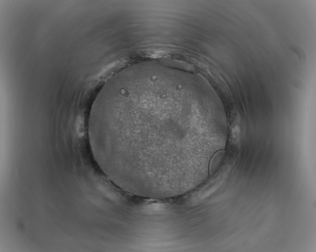 X0000112950620200909071117