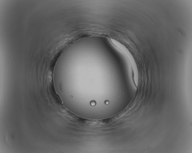 X0000112950621200909071117