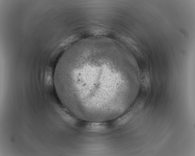 X0000112950622200909071117