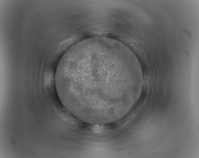 X0000112950623200909071117