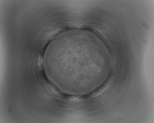 X0000112950624200909071117