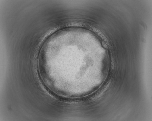 X0000112950625200909071116