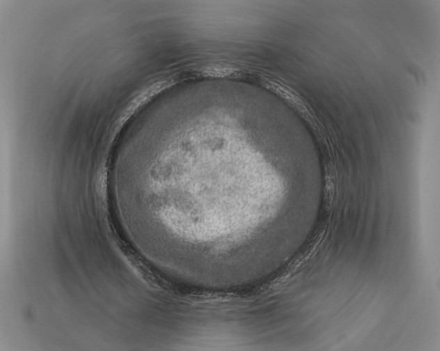 X0000112950626200909071116