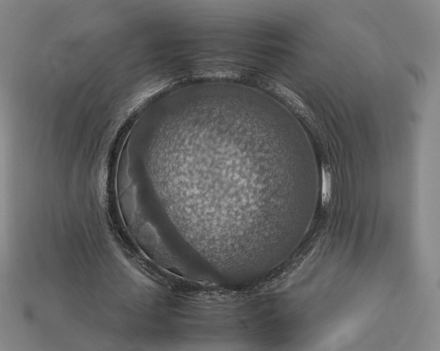 X0000112950627200909071116