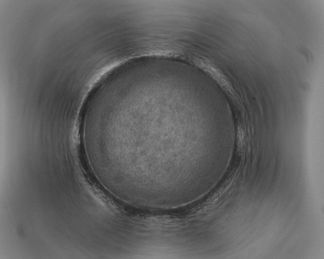 X0000112950628200909071116