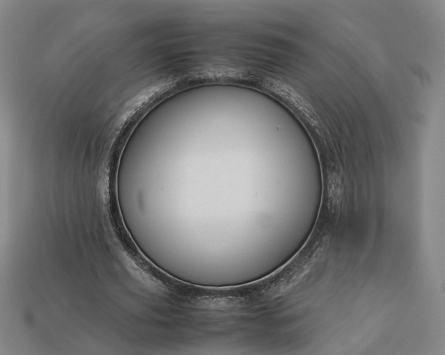 X0000112950629200909071116