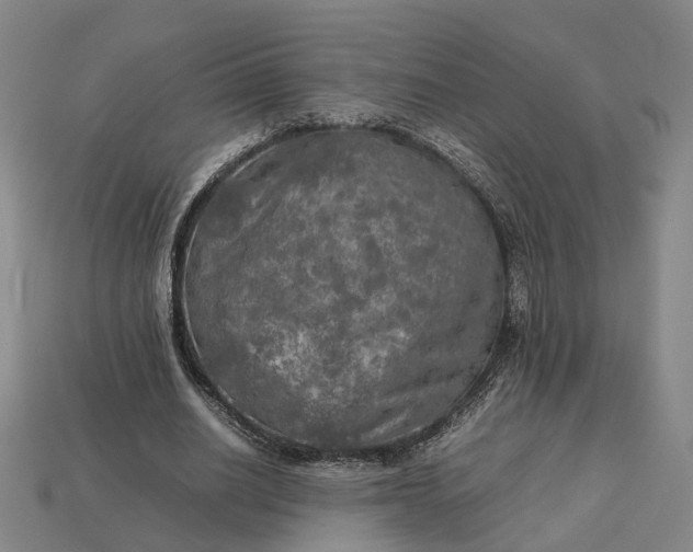 X0000112950630200909071116