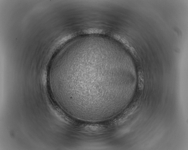 X0000112950631200909071116