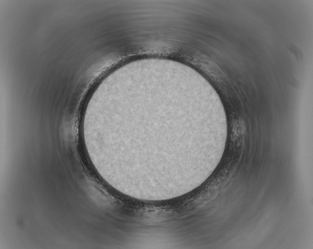 X0000112950632200909071116