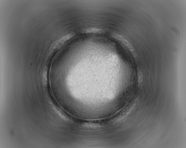 X0000112950633200909071116