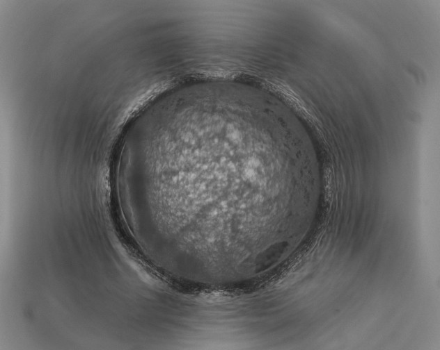 X0000112950634200909071116