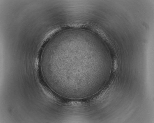 X0000112950636200909071116