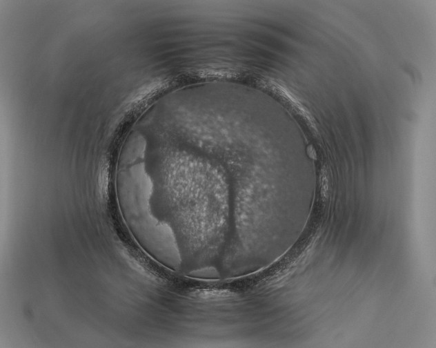 X0000112950637200909071116