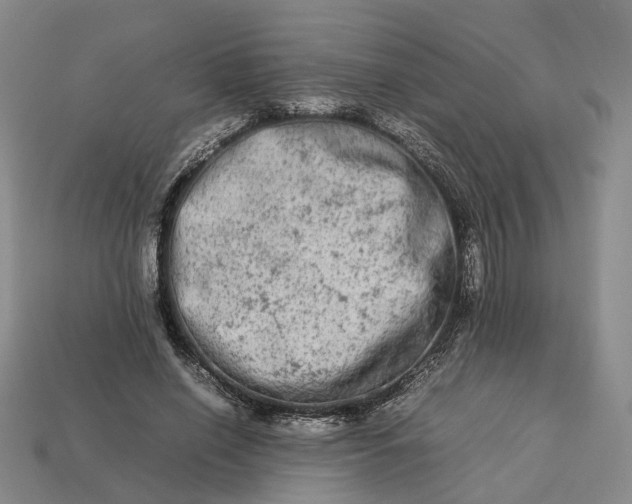 X0000112950638200909071116