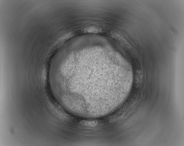 X0000112950639200909071116