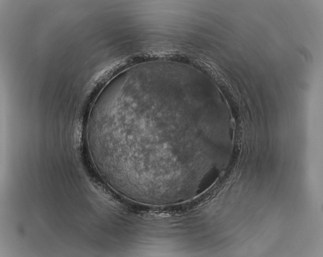 X0000112950640200909071116