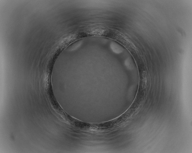 X0000112950641200909071116