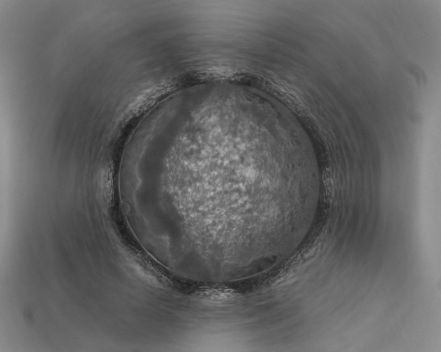 X0000112950642200909071116