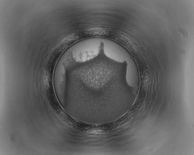 X0000112950643200909071116