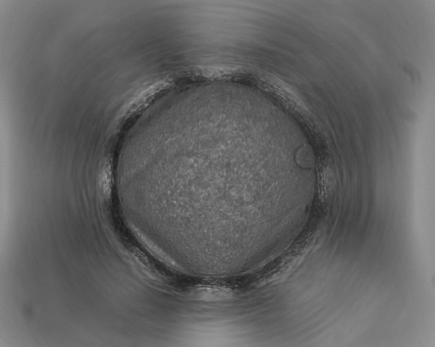 X0000112950644200909071116