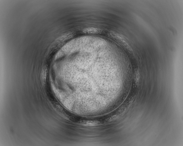 X0000112950645200909071116