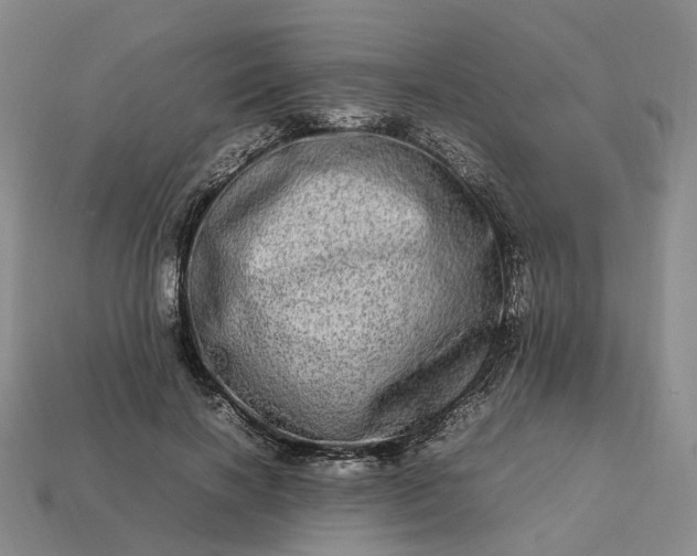 X0000112950646200909071116