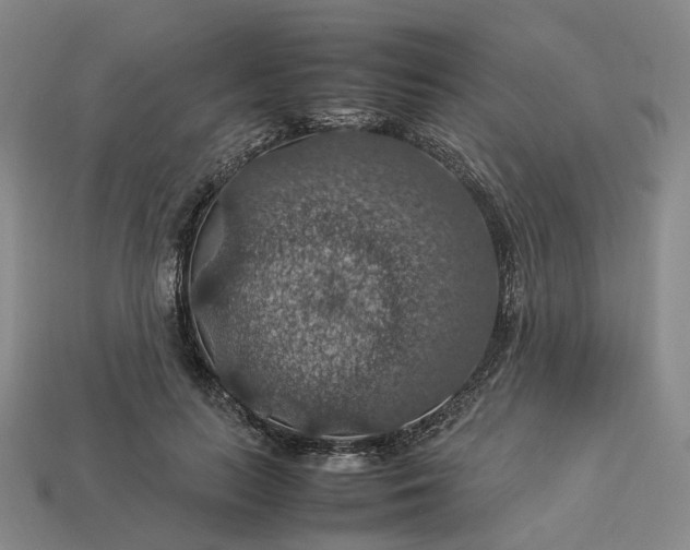 X0000112950647200909071116