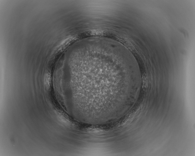 X0000112950648200909071116