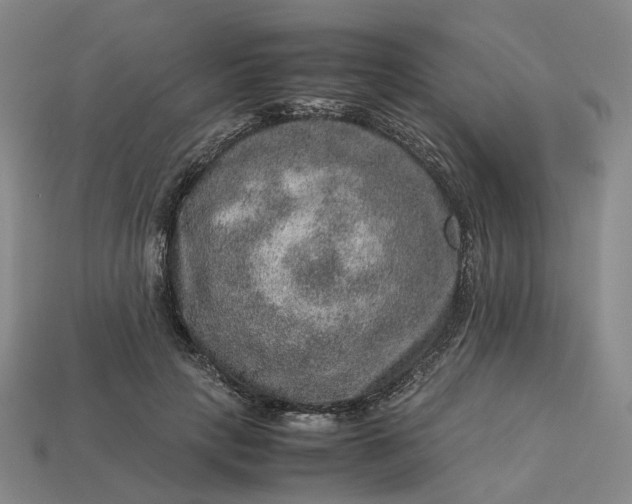 X0000112950649200909071116