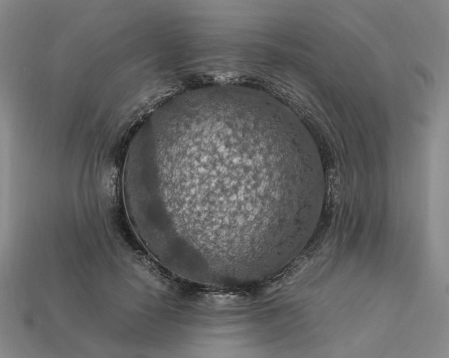 X0000112950650200909071116