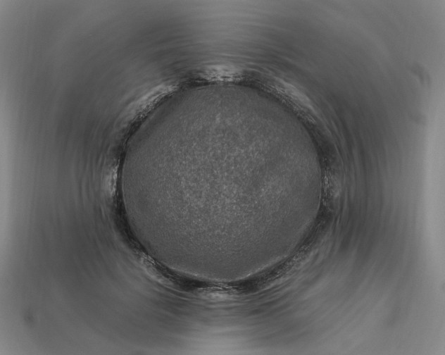 X0000112950652200909071116