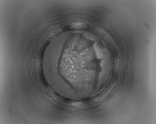 X0000112950653200909071116