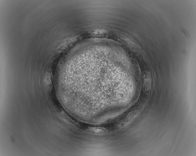 X0000112950654200909071116