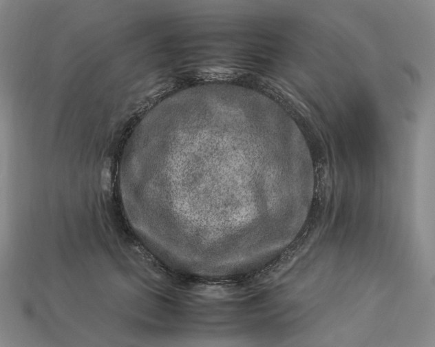 X0000112950655200909071116