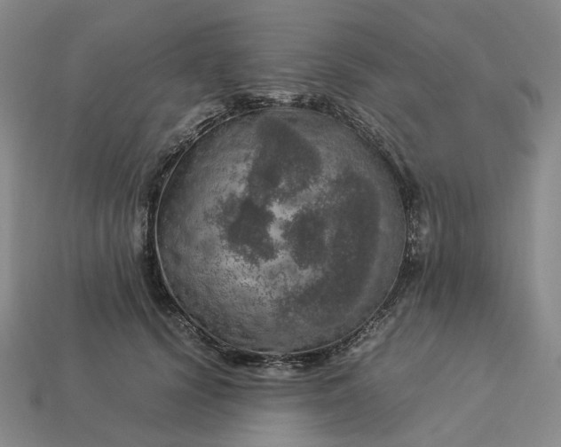 X0000112950656200909071116