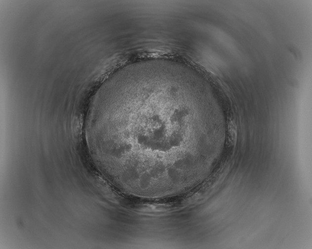 X0000112950657200909071116