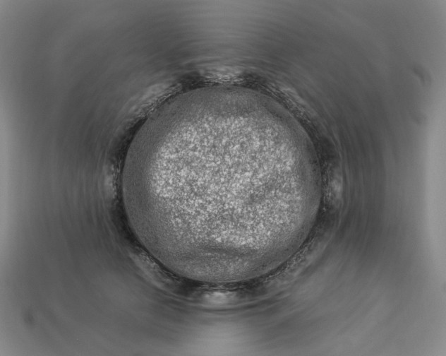 X0000112950658200909071116