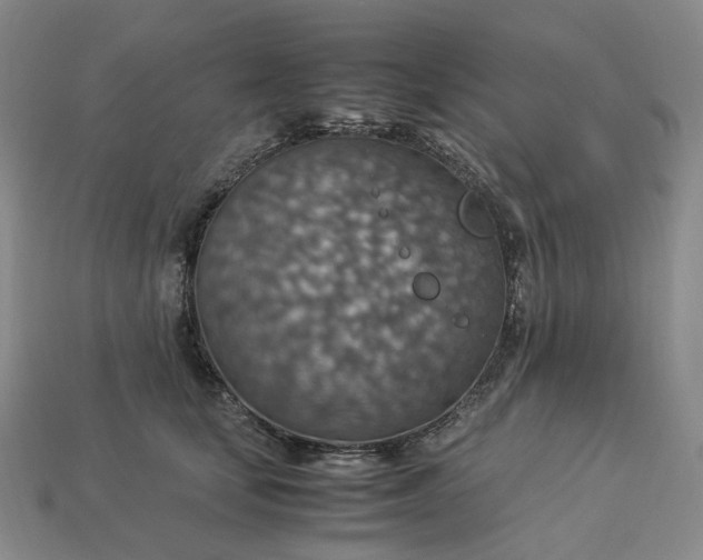 X0000112950659200909071116