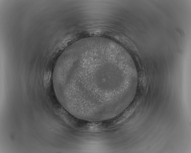 X0000112950660200909071116