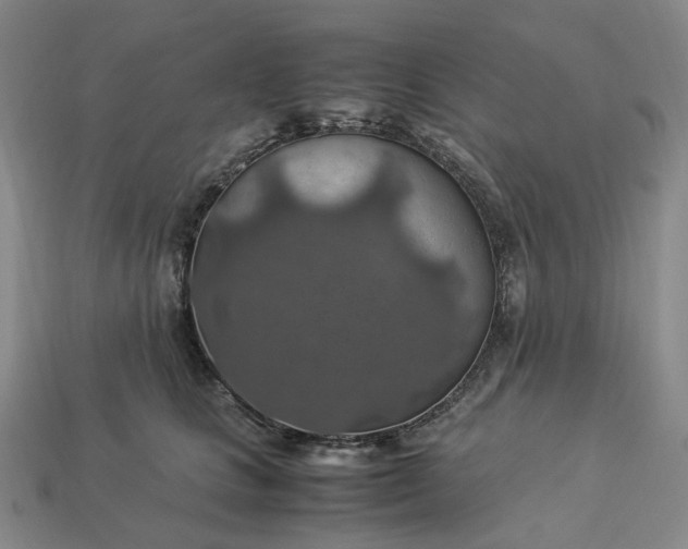 X0000112950661200909071116