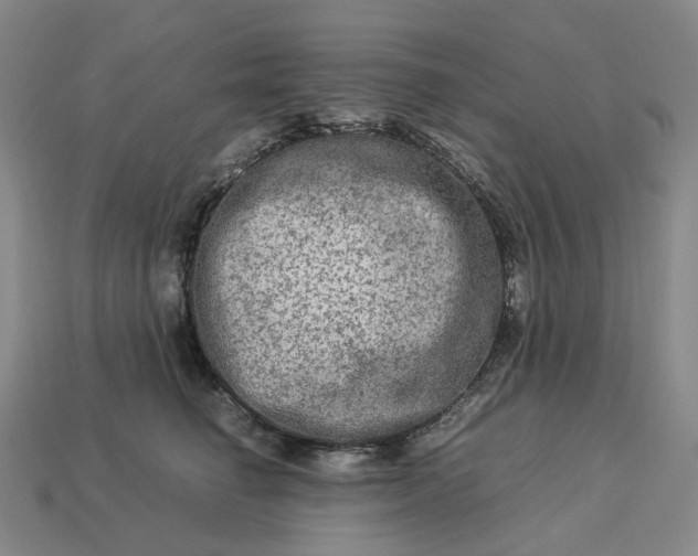 X0000112950662200909071116