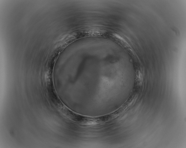 X0000112950663200909071116