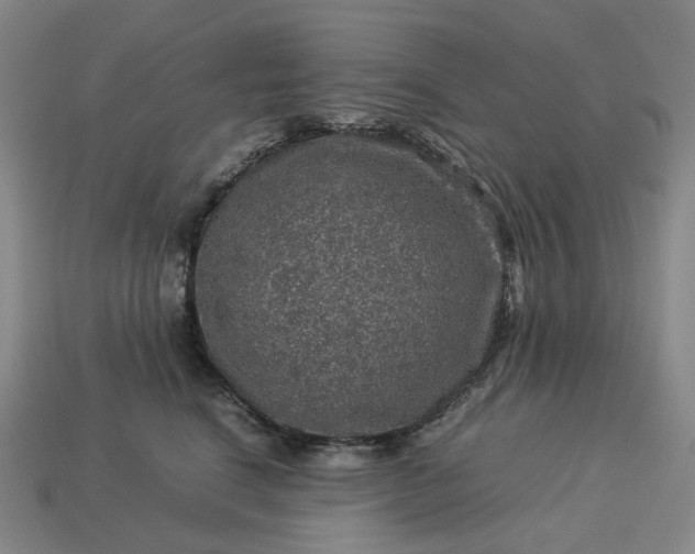 X0000112950664200909071116