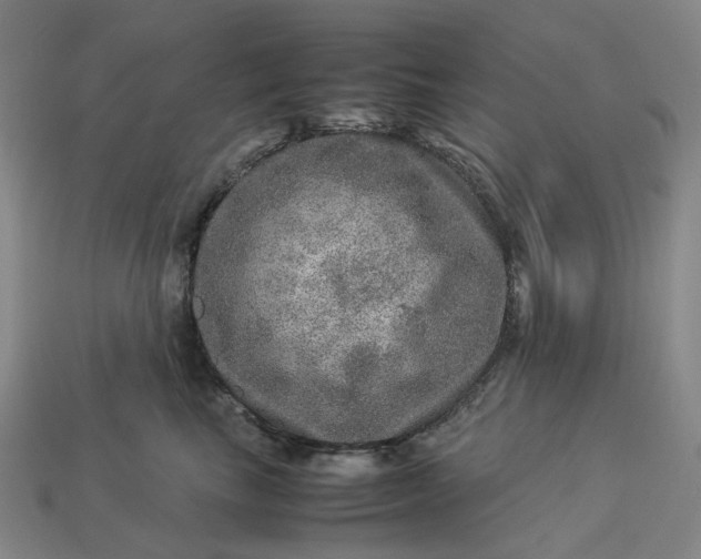 X0000112950665200909071116