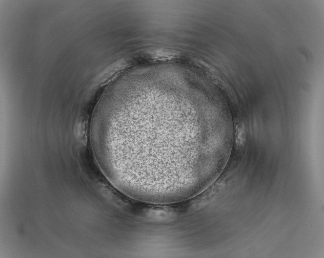 X0000112950666200909071117