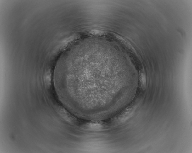 X0000112950668200909071117